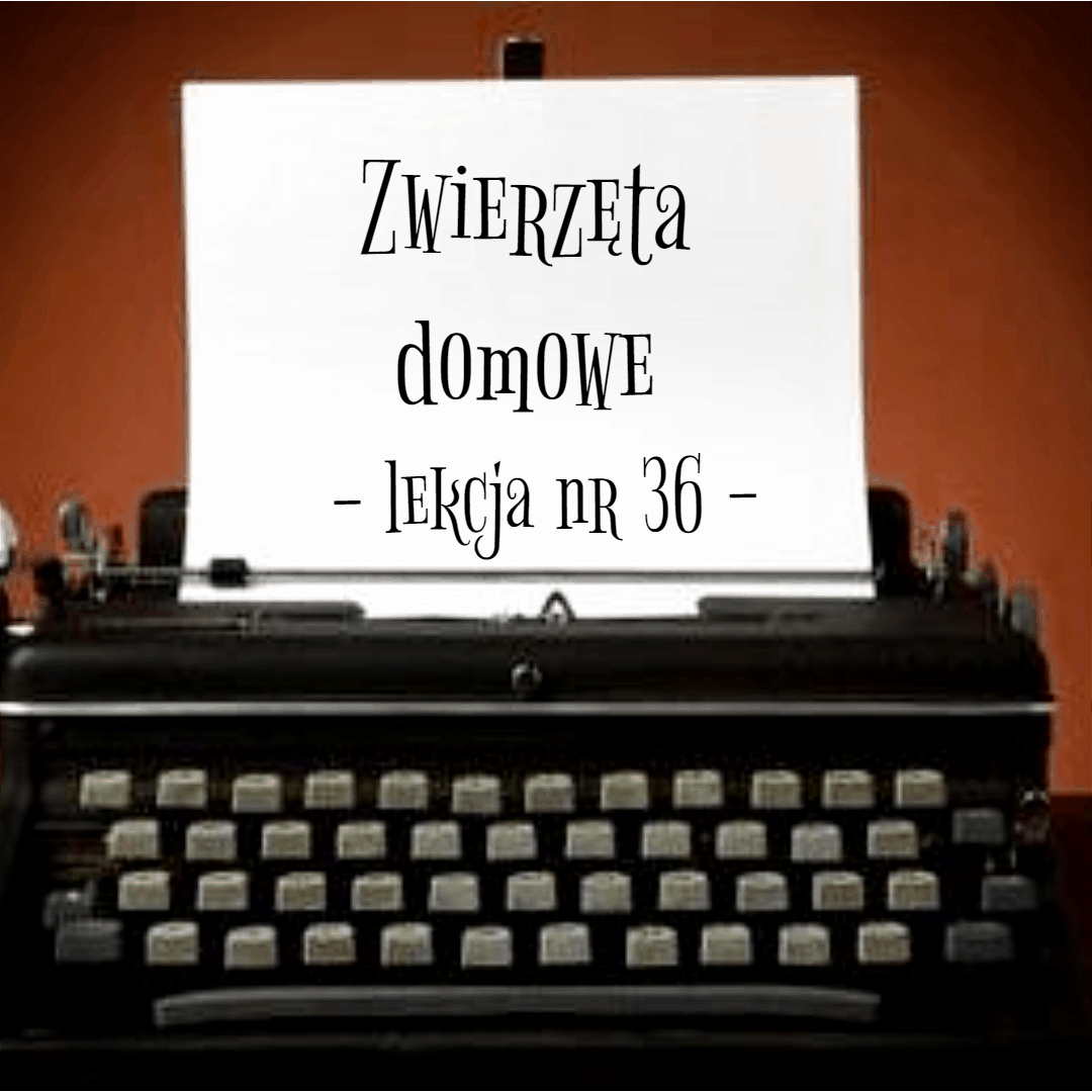 36. Zwierzęta domowe